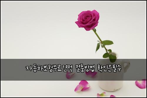 자동차보험무료견적 절충방법 확인은필수