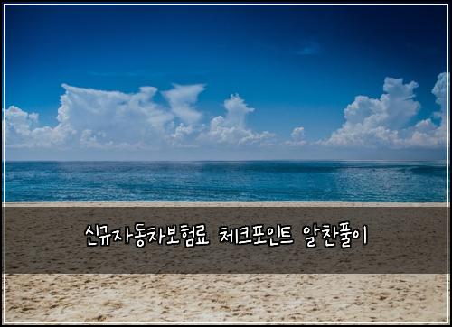 ์ ๊ท์๋์ฐจ๋ณดํ๋ฃ ์ฒดํฌํฌ์ธํธ ์์ฐฌํ์ด