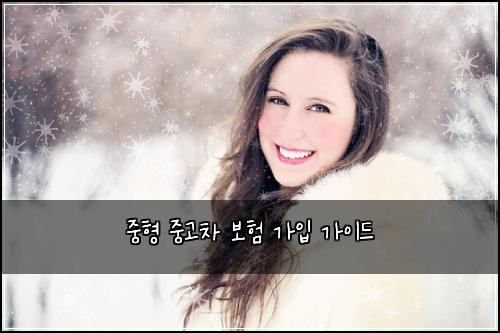 중형 중고차 보험 가입 가이드