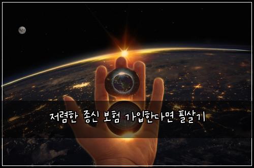 저렴한 종신 보험 가입한다면  필살기