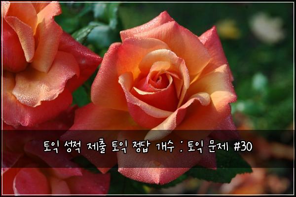 토익 성적 제출 토익 정답 개수 : 토익 문제 #30