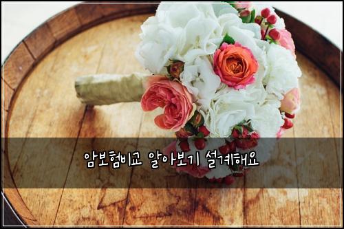 ์๋ณดํ๋น๊ต ์์๋ณด๊ธฐ ์ค๊ณํด์
