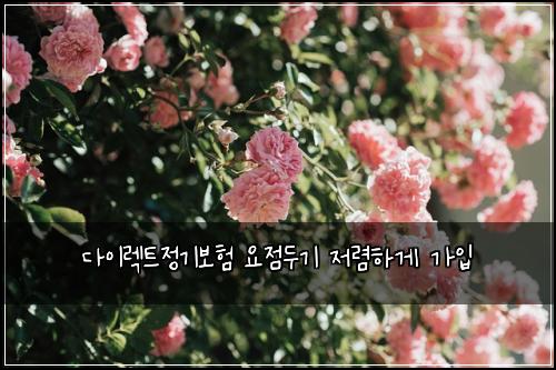 ๋ค์ด๋ ํธ์ ๊ธฐ๋ณดํ ์์ ๋๊ธฐ ์ ๋ ดํ๊ฒ ๊ฐ์