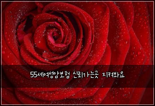 55μΈμ¬μ±μ보ν μ λ’°κ°λκ³³ μ§μΌλ΄μ