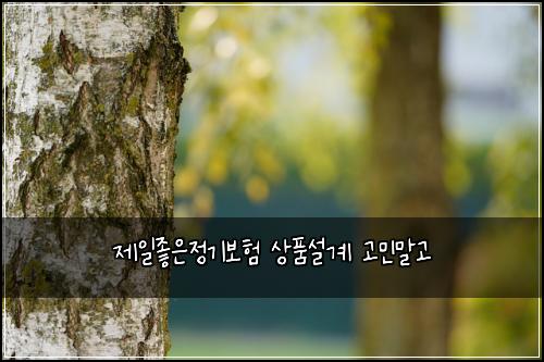 ์ ์ผ์ข์์ ๊ธฐ๋ณดํ ์ํ์ค๊ณ ๊ณ ๋ฏผ๋ง๊ณ