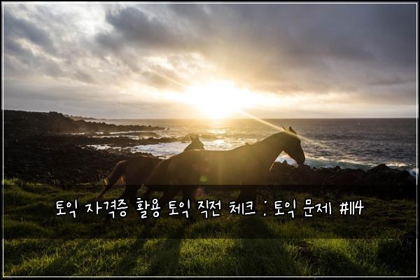 토익 자격증 활용 토익 직전 체크 : 토익 문제 #114