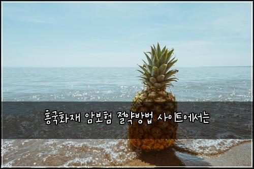 ํฅ๊ตญํ์ฌ ์๋ณดํ ์ ์ฝ๋ฐฉ๋ฒ ์ฌ์ดํธ์์๋