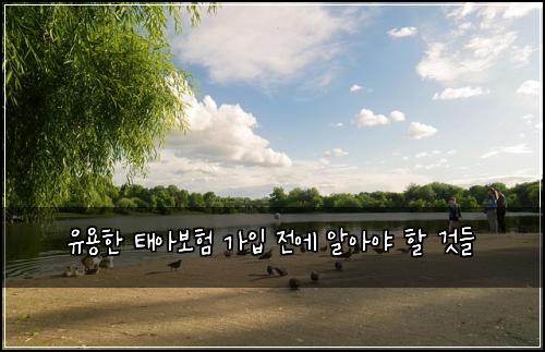유용한 태아보험 가입 전에 알아야 할 것들