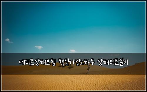 메리츠상해보험 핵심가입노하우  상해의료실비