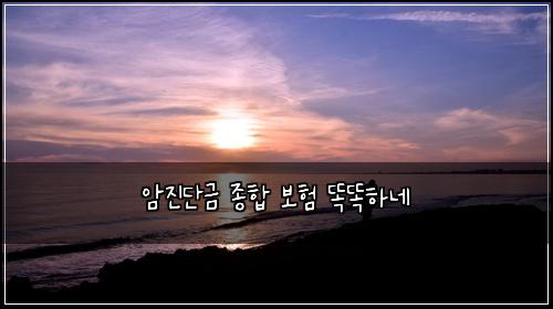 암진단금 종합 보험 똑똑하네 