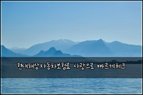 현대해상자동차보험료 사랑으로 빠르게체크