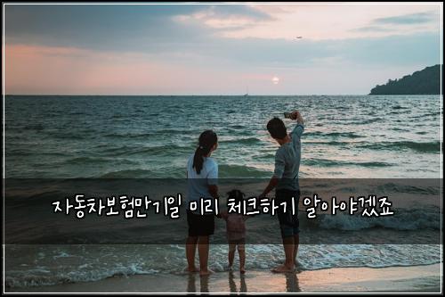 ์๋์ฐจ๋ณดํ๋ง๊ธฐ์ผ ๋ฏธ๋ฆฌ ์ฒดํฌํ๊ธฐ ์์์ผ๊ฒ ์ฃ