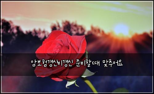 ์๋ณดํ๊ฐฑ์ ๋น๊ฐฑ์ ์ค๋นํ ๋ ๋ง์ถ์ด์