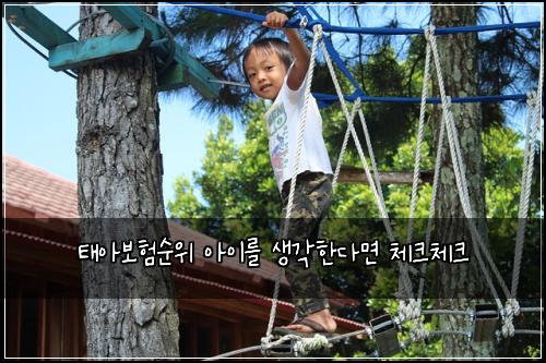 태아보험순위 아이를 생각한다면 체크체크