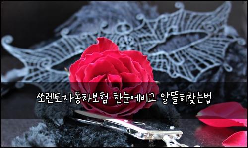 ์๋ ํ ์๋์ฐจ๋ณดํ ํ๋์๋น๊ต ์๋ฐํ์ฐพ๋๋ฒ