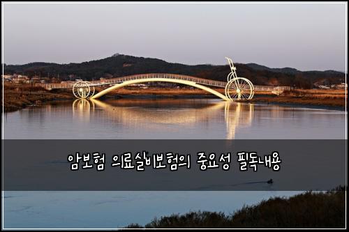 암보험 의료실비보험의 중요성 필독내용