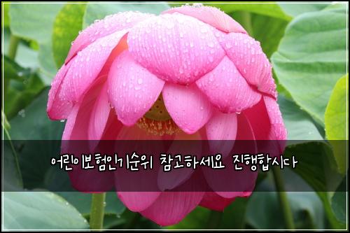 ์ด๋ฆฐ์ด๋ณดํ์ธ๊ธฐ์์ ์ฐธ๊ณ ํ์ธ์ ์งํํฉ์๋ค