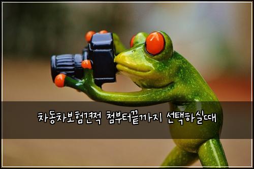 차동차보험견적 첨부터끝까지 선택하실때
