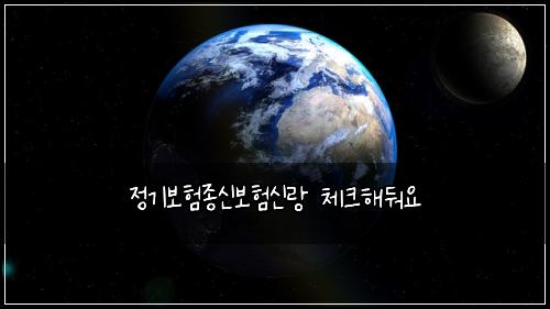 정기보험종신보험신랑 체크해둬요