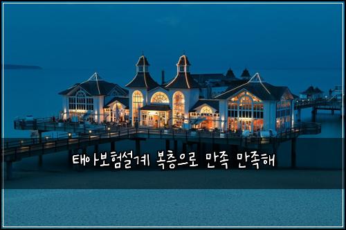 태아보험설계 복층으로 만족 만족해