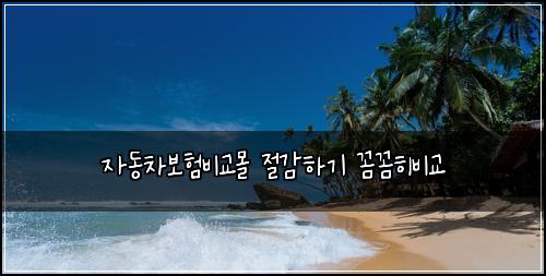 자동차보험비교몰 절감하기 꼼꼼히비교