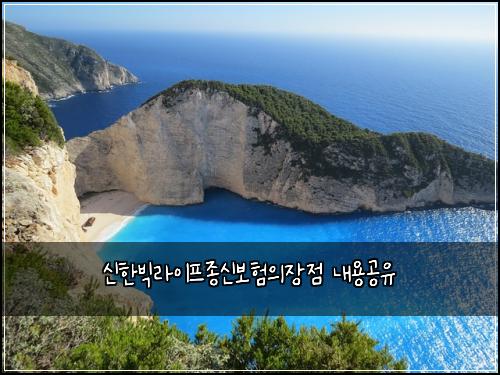 ์ ํ๋น
๋ผ์ดํ์ข
์ ๋ณดํ์์ฅ์ ๋ด์ฉ๊ณต์