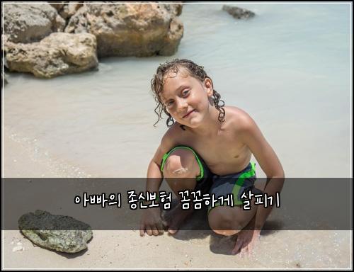 아빠의 종신보험 꼼꼼하게 살피기