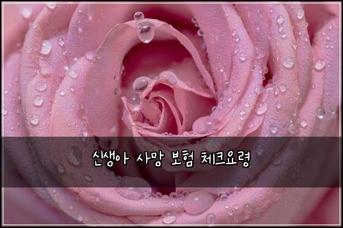 μ μμ μ¬λ§ 보ν 체ν¬μλ Ή