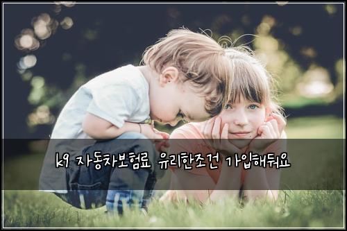 k9 ์๋์ฐจ๋ณดํ๋ฃ ์ ๋ฆฌํ์กฐ๊ฑด ๊ฐ์
ํด๋ฌ์