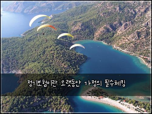 정기보험이란 오랫동안 가정의 필수체킹