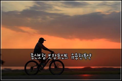 ์ข
์ ๋ณดํ ๋ณด์ฅํฌ์ธํธ ์ ์ฉํํน์ฝ