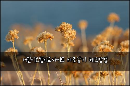 어린이보험비교사이트 바로알기 체크방법