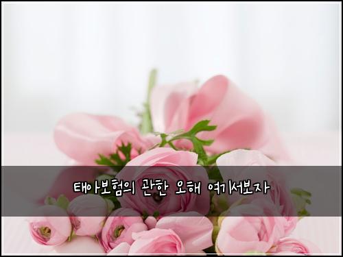 태아보험의 관한 오해 여기서보자