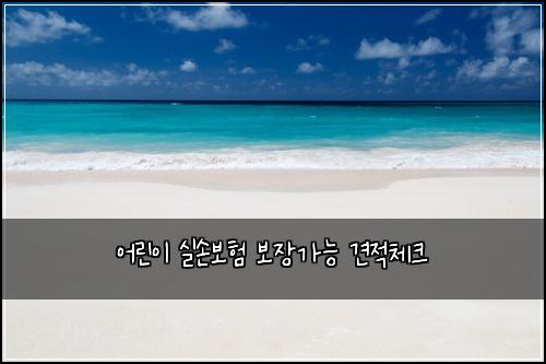 ์ด๋ฆฐ์ด ์ค์๋ณดํ ๋ณด์ฅ๊ฐ๋ฅ ๊ฒฌ์ ์ฒดํฌ