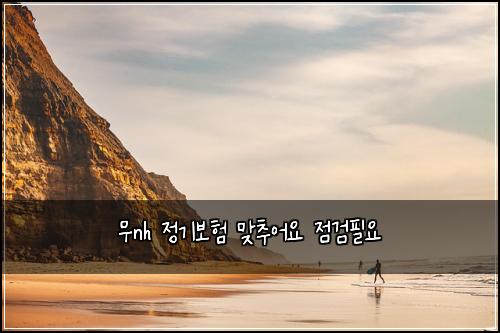 무nh μ 기보ν λ§μΆμ΄μ μ κ²νμ