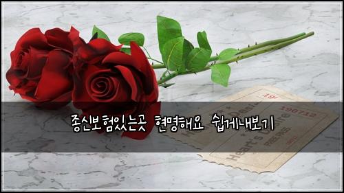 ์ข
์ ๋ณดํ์๋๊ณณ ํ๋ช
ํด์ ์ฝ๊ฒ๋ด๋ณด๊ธฐ