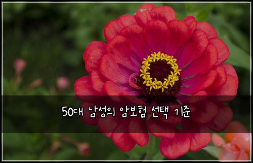 50대 남성의 암보험 선택 기준