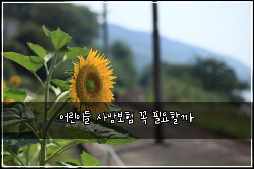 어린이들 사망보험 꼭 필요할까