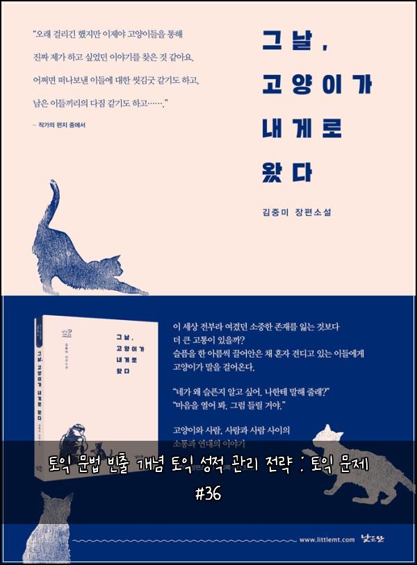토익 문법 빈출 개념 토익 성적 관리 전략 : 토익 문제 #36