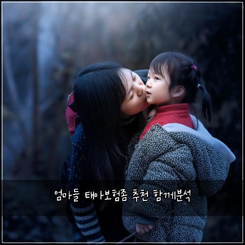 엄마들 태아보험좀 추천 함께분석