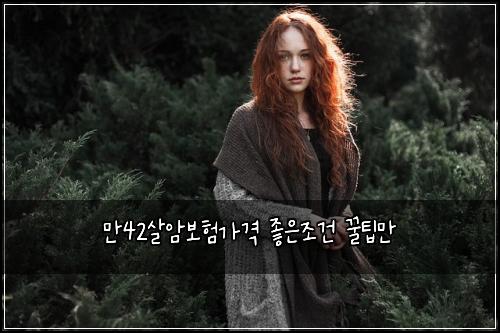 만42살암보험가격 좋은조건 꿀팁만