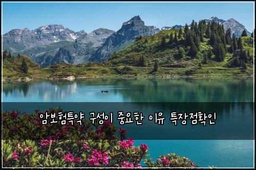 암보험특약 구성이 중요한 이유 특장점확인