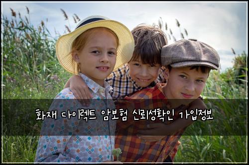 화재 다이렉트 암보험 신뢰성확인  가입정보