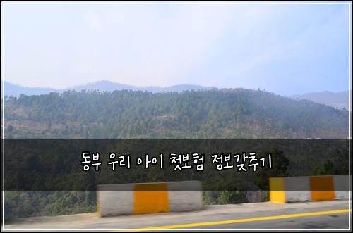 동부 우리 아이 첫보험 정보갖추기 