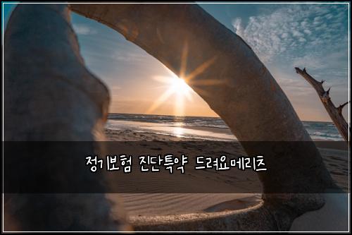 정기보험 진단특약  드려요메리츠