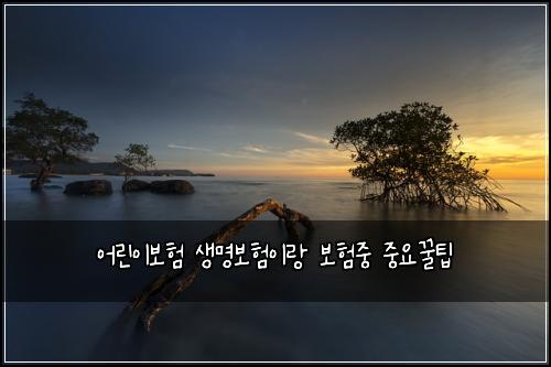 어린이보험 생명보험이랑 보험중 중요꿀팁