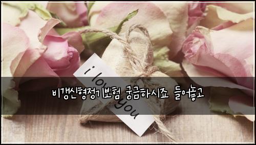 비갱신형정기보험 궁금하시죠  들어놓고