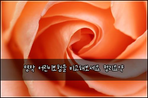 ๋ช
์ ์ด๋ฆฐ์ด๋ณดํ์ ๋น๊ตํด๋ณด์ธ์ ์ ๋ฆฌ์์ฝ