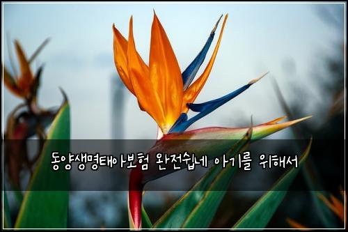 동양생명태아보험 완전쉽네  아기를 위해서