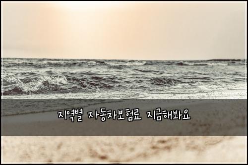 지역별 자동차보험료 지금해봐요